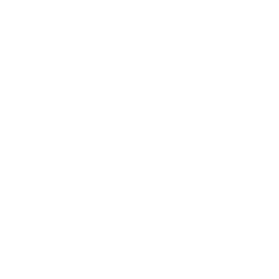 car diagnostics